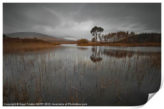 Loch Ba reflection Print by Creative Photography Wales