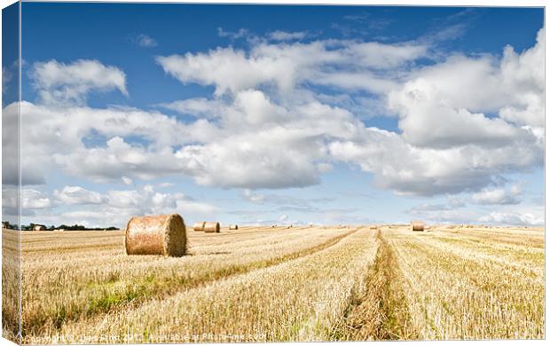 St Andrews Bales Canvas Print by Chris Frost