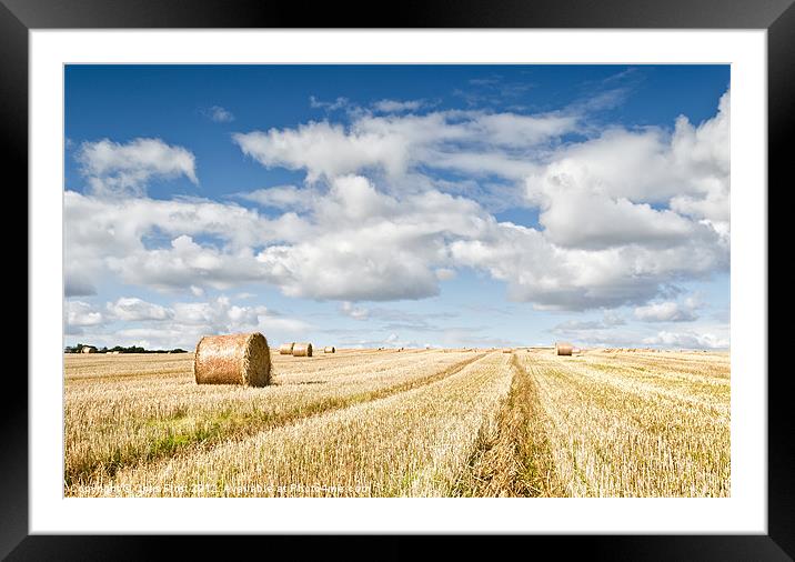 St Andrews Bales Framed Mounted Print by Chris Frost