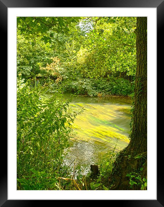 River mole Cobham Framed Mounted Print by Clive Eariss