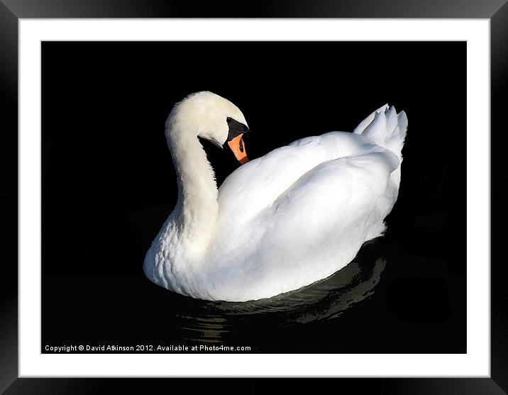 FLOATING IN THE DARK Framed Mounted Print by David Atkinson