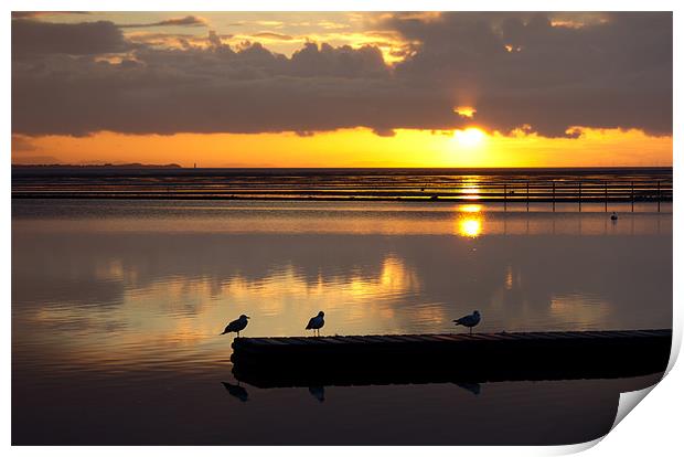 Birds eye view of a West kirby sunset Print by Paul Farrell Photography