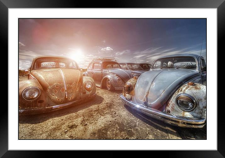 Bugs in the Sun Framed Mounted Print by Jason Green
