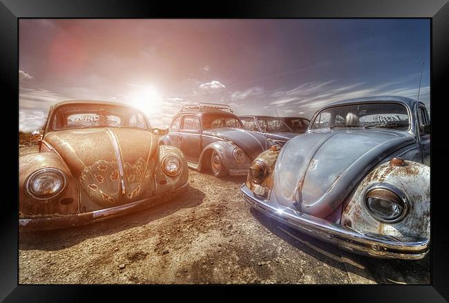 Bugs in the Sun Framed Print by Jason Green