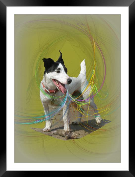 Just Being Buster. Framed Mounted Print by Heather Goodwin