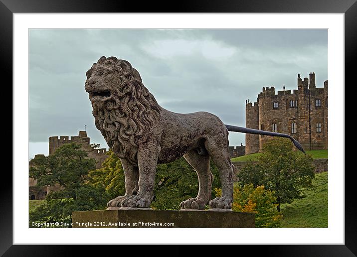 The Alnwick Lion Framed Mounted Print by David Pringle