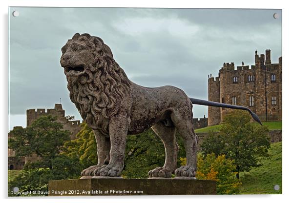 The Alnwick Lion Acrylic by David Pringle