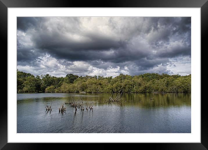Calm Before The Storm. Framed Mounted Print by Louise Wagstaff