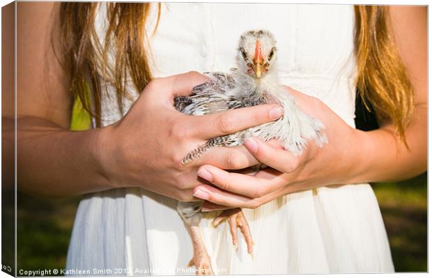 Girl holding a chicken Canvas Print by Kathleen Smith (kbhsphoto)
