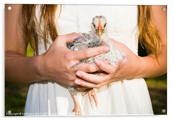 Girl holding a chicken Acrylic by Kathleen Smith (kbhsphoto)