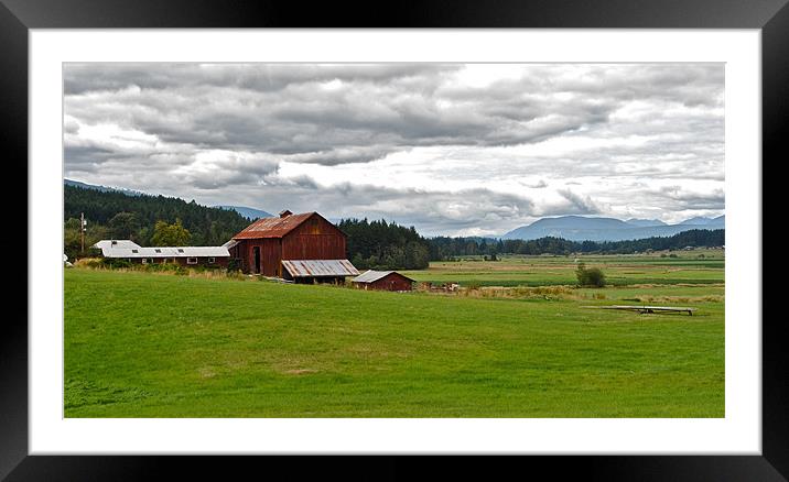 Canadian Farm Country Framed Mounted Print by Jake Hughes