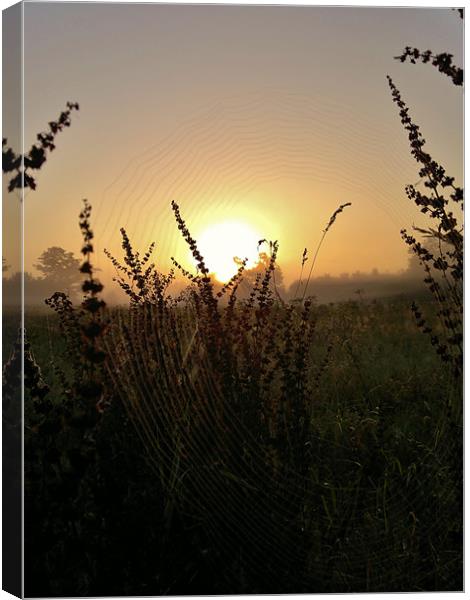 SPIDERS WEB IN THE SUNRISE Canvas Print by mark graham