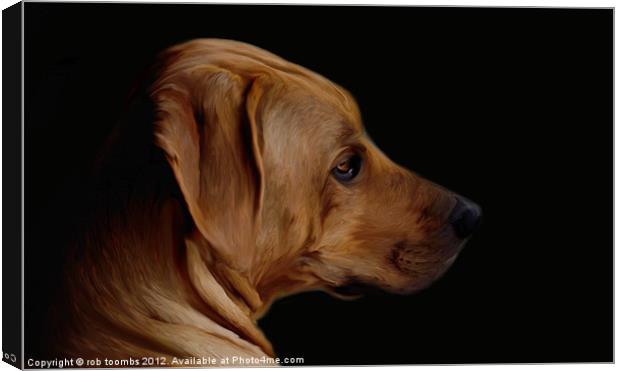 BEAUTIFUL HOUND Canvas Print by Rob Toombs