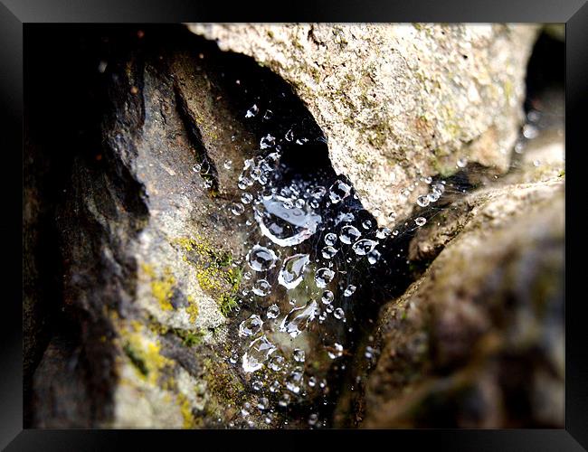 Catch the Rain Framed Print by Philip Henderson