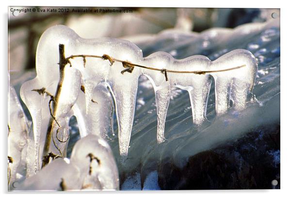 Winter's Teeth Acrylic by Eva Kato