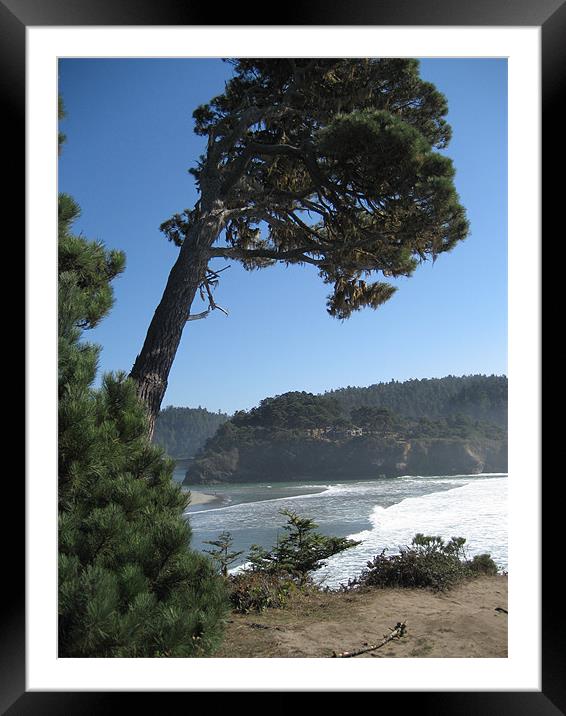 Cliff over beach in Mendocino, CA Framed Mounted Print by Lori Allan