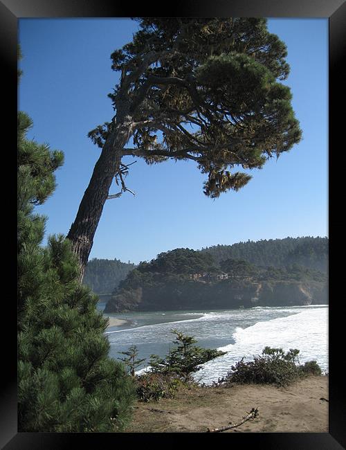 Cliff over beach in Mendocino, CA Framed Print by Lori Allan