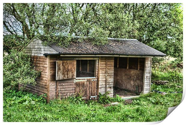 Abandoned Print by Steve Purnell