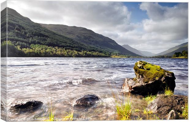 Loch Voil Moss Canvas Print by Chris Frost