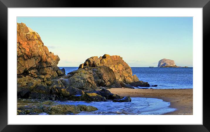 BASS ROCK Framed Mounted Print by dale rys (LP)