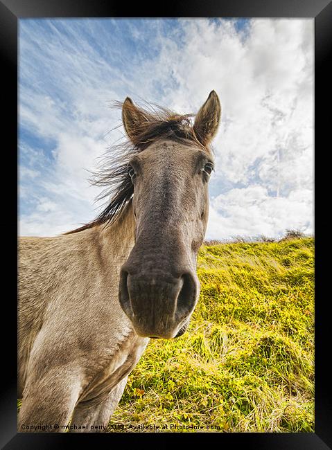 Why the long face? Framed Print by michael perry