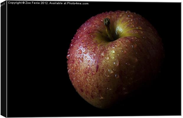 An Apple with Waterdrops Canvas Print by Zoe Ferrie