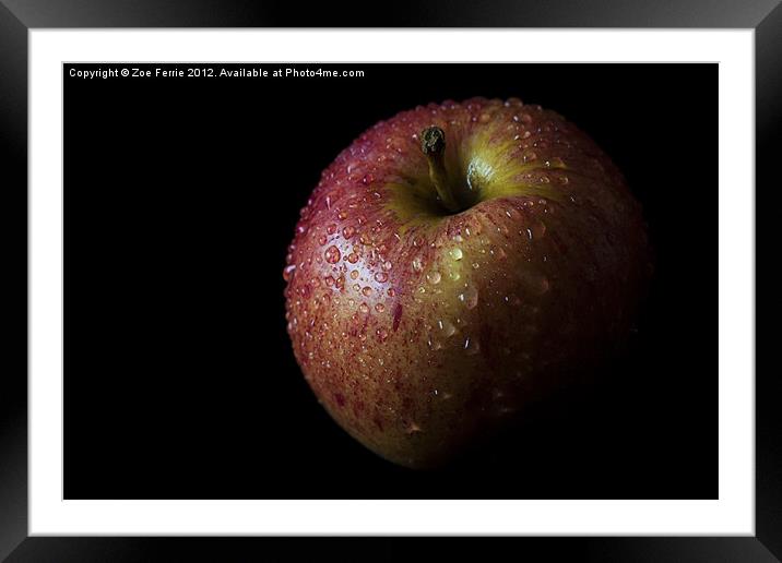 An Apple with Waterdrops Framed Mounted Print by Zoe Ferrie