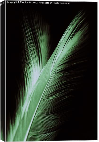 Feather and it's reflection Canvas Print by Zoe Ferrie