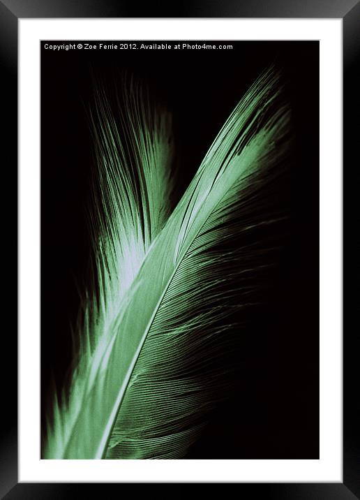 Feather and it's reflection Framed Mounted Print by Zoe Ferrie