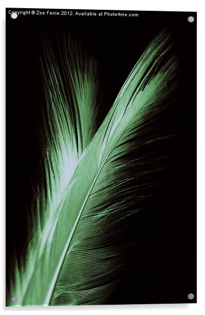 Feather and it's reflection Acrylic by Zoe Ferrie