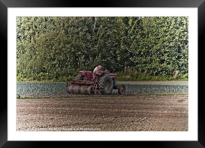 Tending the Land Framed Mounted Print by Michelle Orai