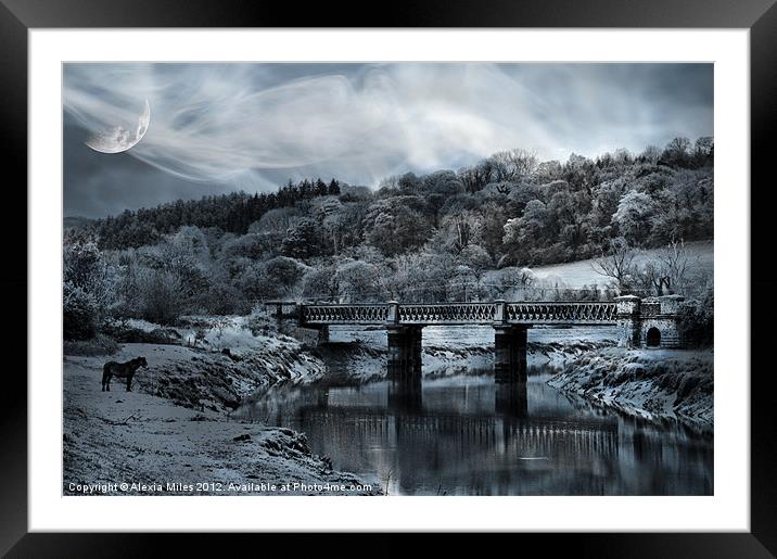 Cold Evening Framed Mounted Print by Alexia Miles