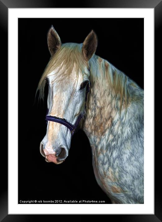 A HORSES PORTRAIT Framed Mounted Print by Rob Toombs