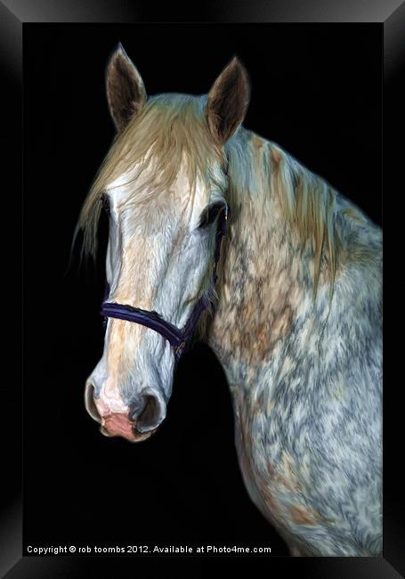 A HORSES PORTRAIT Framed Print by Rob Toombs