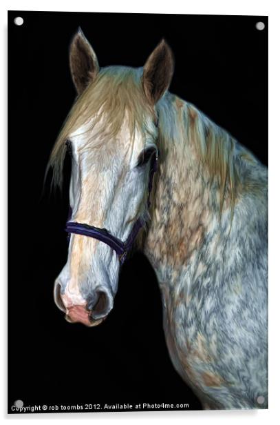 A HORSES PORTRAIT Acrylic by Rob Toombs
