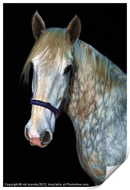A HORSES PORTRAIT Print by Rob Toombs
