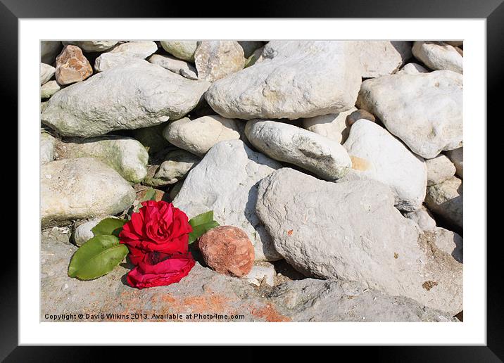Remembering a Loved One Framed Mounted Print by David Wilkins