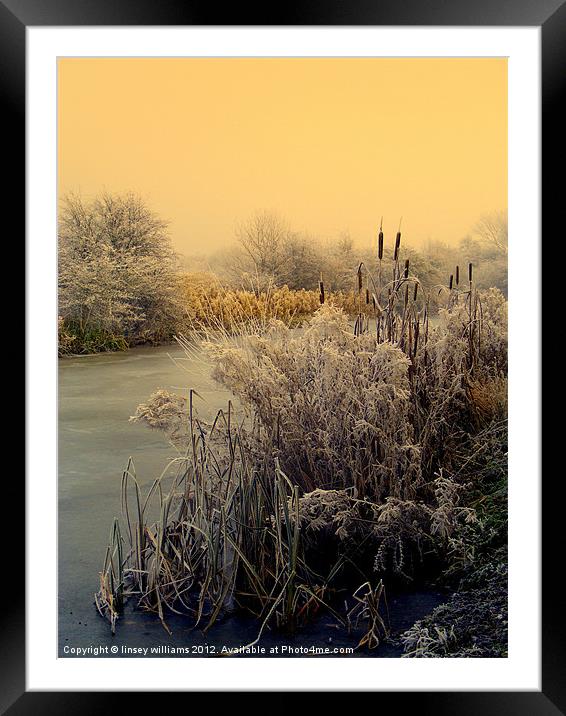 FROST Framed Mounted Print by Linsey Williams
