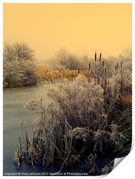 FROST Print by Linsey Williams