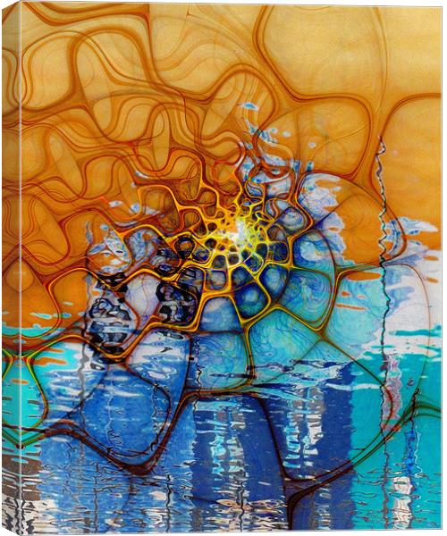 Spidery Sunrise Canvas Print by Amanda Moore