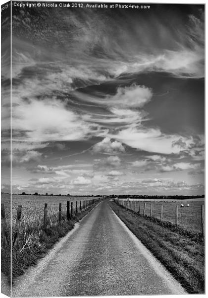 Road To Nowhere Canvas Print by Nicola Clark