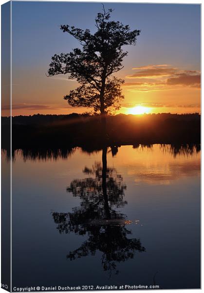 sunset and tree reflection Canvas Print by Daniel Duchacek