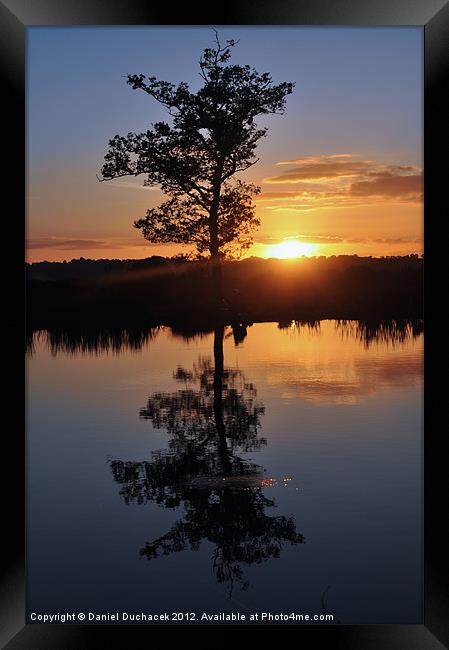 sunset and tree reflection Framed Print by Daniel Duchacek
