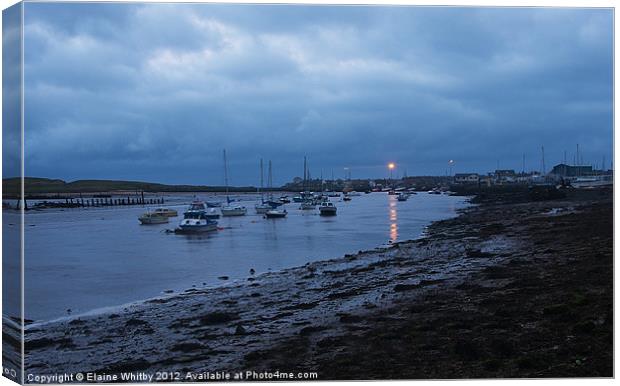 Amble at NIght Canvas Print by Elaine Whitby