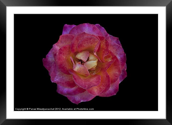Sweet and sour Framed Mounted Print by Panas Wiwatpanachat