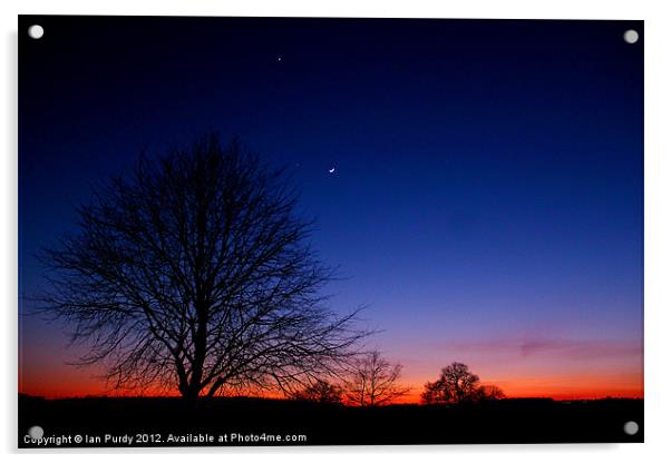 Winter sunset Acrylic by Ian Purdy