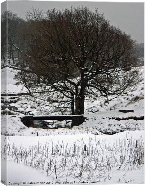 Winter Scene (3) Canvas Print by malcolm fish