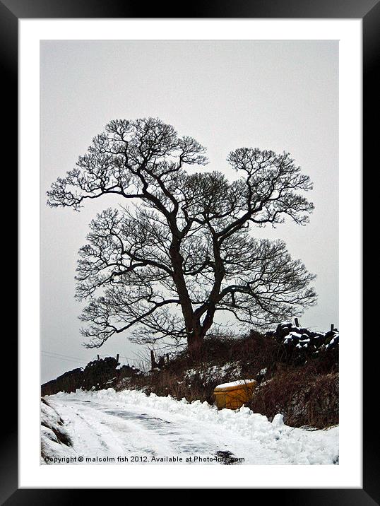 Winter Silhouette Framed Mounted Print by malcolm fish