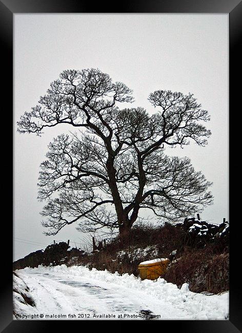 Winter Silhouette Framed Print by malcolm fish