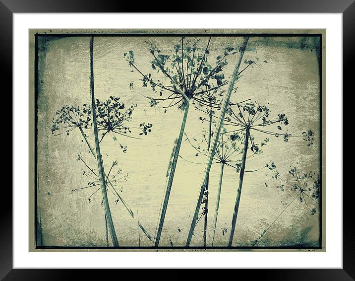 end of summer blues Framed Mounted Print by Heather Newton